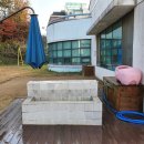 혜전대유치원 이미지