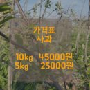 표장농장 네이버블로그
