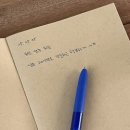 고사리맨션이 | [남해, 감성 숙소] 고사리맨션 3호 숙박 후기