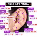 핑크피어싱 이미지