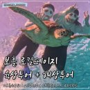 페이지안경 | 보홀 육상투어 코스 | 로컬페이지 발리카삭 돌핀워칭 로복강 안경원숭이 초콜릿힐 반딧불이 후기