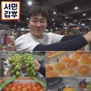과일청년