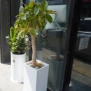 모현중앙하이츠 | 익산 모현동 삼겹살 맛집 고퀄리티 육류