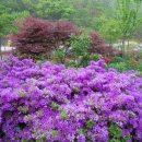 오월농장 이미지