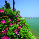 고이도보건진료소 이미지