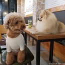 정릉1동자치회관 2층 문화교실 | [경기도 수원시] 경기대학교소성박물관