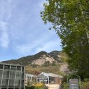 (주)나비올이엔티 | 노원 불암산 나비정원 | 철쭉제 전 프리뷰, 개화상황 &amp; 아이와 가기 좋은 코스