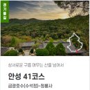 안성버스터미널 택시정류장 이미지