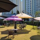 라메종 비올레뜨 (Lamaison Violette) | 화성카페 라메종비올레뜨, 보라색 카페 후기~