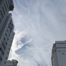 봉선2동작은도서관 이미지