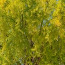 세븐일레븐종로창성점 이미지