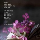 아름다운계절 이미지