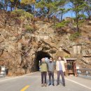 라제통문벚꽃길 이미지