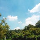 콩테이너 이미지