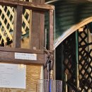 쉼송지호 이미지