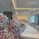 세인트41 이미지