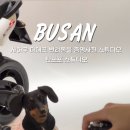 사하구 다송로 72번길 이미지