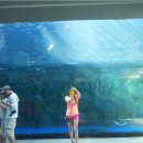 서광자동차랜드 | 제주도 2박3일 여행코스 가족여행코스