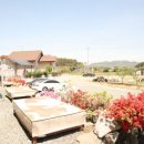 덤장집민박 이미지