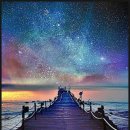 별 Daum카페