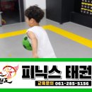 피닉스태권도장 이미지