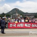 [조국 특집] 김문수 “조국은 대한민국 최악의 기생충, 박멸해야”...우파시민단체, 조국 사퇴까지 무기한농성 돌입 이미지