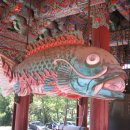 목어-기원 이미지