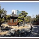부경대학교(대연캠퍼스) Daum카페