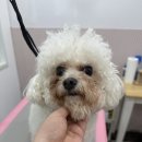 해피멍쓰데이 이미지