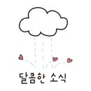 예미안 안경원 이미지