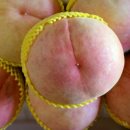 성1리 마을회관 이미지