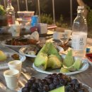 생태숲민박 이미지