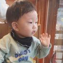 체스넛주 이미지