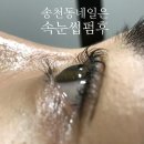 슈가네일앤스킨 네이버블로그