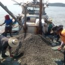 보성목장 이미지