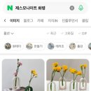 성동노인종합복지관 | 성동종합사회복지관 원데이클래스 후기