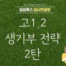 파피루스입시컨설팅 이미지