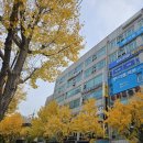 아주대입구.우리은행(03132) | [우만동 헬스장] 운동에반하다 아주대점 오시는 길 Part.2♥