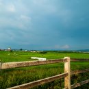 노을목장 이미지