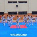 고려라온태권도장 이미지