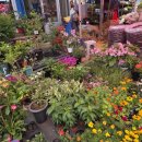 대야재래시장 이미지