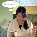 경기도 수원시 팔달구 정조로850번길 이미지