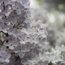 휴앤진 후평점 이미지