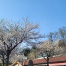 안태울캠핑장 이미지