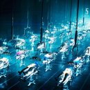 아일랜드 이미지