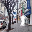 올리비아하슬러청주