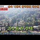 경남고성과수원매매...일조량 양호하고 숲속에 위치한 자연인같은 주택과 넓은 과수원 일괄 매매 28,586m²(구,8648) 이미지