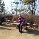 원적산길 이미지