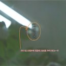 루마3M썬팅 이미지