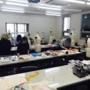 의류패션(심화) 이미지